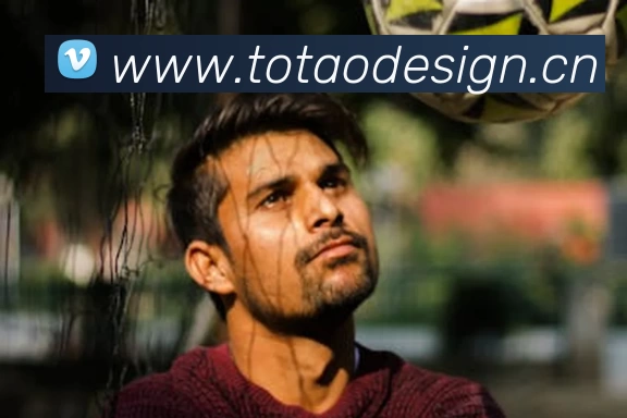 米兰官方站网页版 - 米兰MiLan(中国)APP 封面图